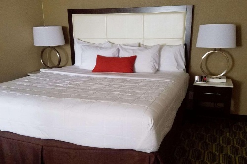 Hawthorn Suites by Wyndham image 6